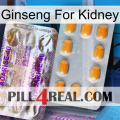 Ginseng For Kidney new12